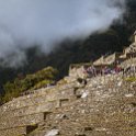 PER CUZ MachuPicchu 2014SEPT15 067 : 2014, 2014 - South American Sojourn, 2014 Mar Del Plata Golden Oldies, Alice Springs Dingoes Rugby Union Football Club, Americas, Cuzco, Date, Golden Oldies Rugby Union, Machupicchu, Month, Peru, Places, Pre-Trip, Rugby Union, September, South America, Sports, Teams, Trips, Year